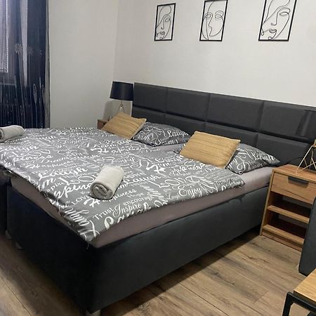 פלזן Cerna Ruze - Apartman 4 מראה חיצוני תמונה