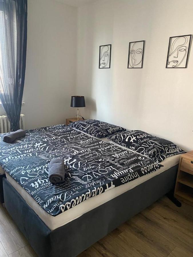 פלזן Cerna Ruze - Apartman 4 מראה חיצוני תמונה