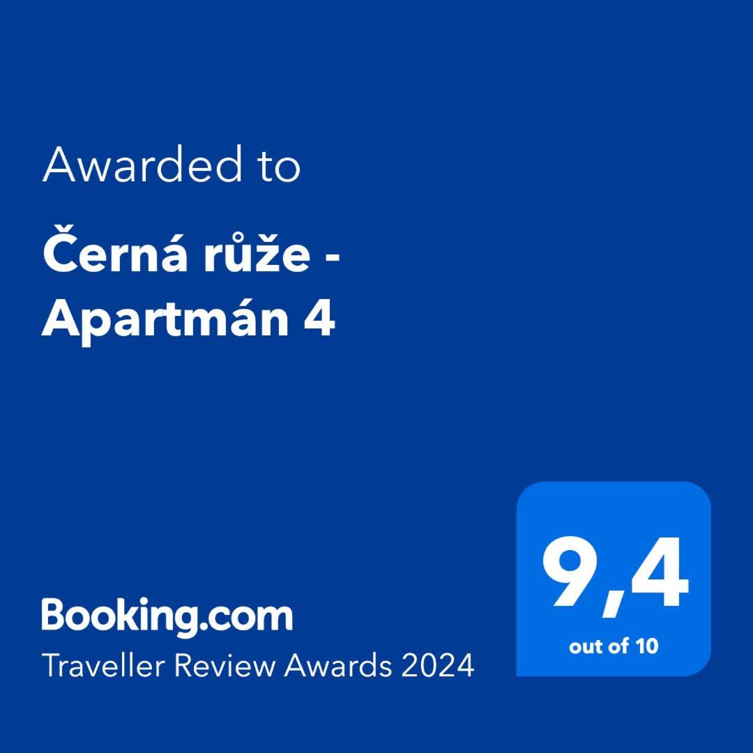 פלזן Cerna Ruze - Apartman 4 מראה חיצוני תמונה